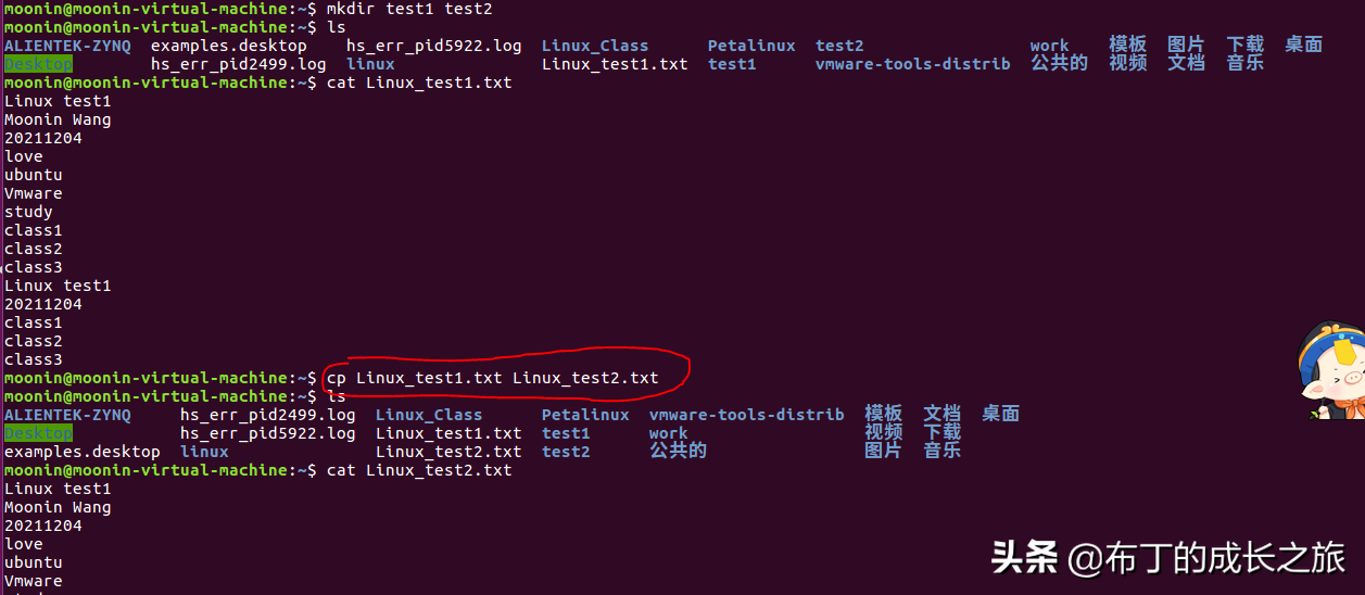 linux系统.ini文件_linux系统镜像iso文件_linux文件系统有
