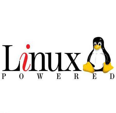 linux分配用户空间_oracle用户分配权限_linux 给用户分配权限