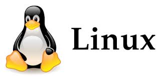 linux磁盘相关命令_linux操作系统磁盘管理_磁盘空间linux命令