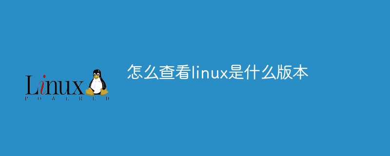 linux查看操作系统型号_linux如何查使用的是什么样的linux系统_查看linux操作系统型号