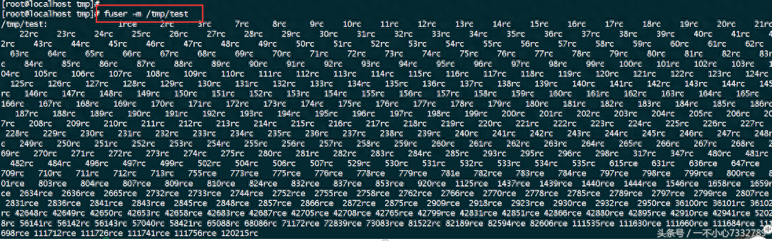 linux启动应用程序 命令_linux中启动命令_linux命令行启动应用程序