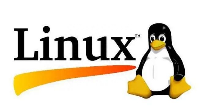 linux命令行启动应用程序_linux启动应用程序 命令_linux启动app应用命令