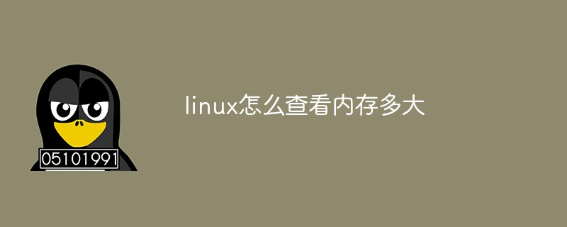 linux怎么查看内存多大